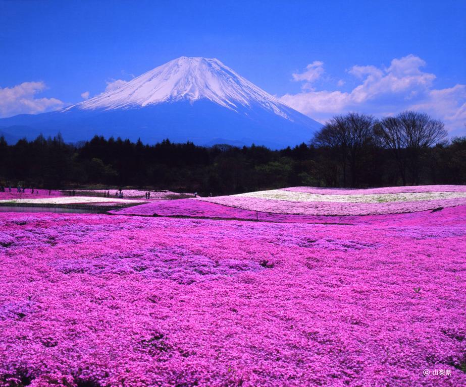 Pension Mozart Yamanakako Esterno foto