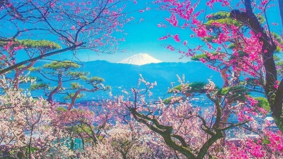 Pension Mozart Yamanakako Esterno foto